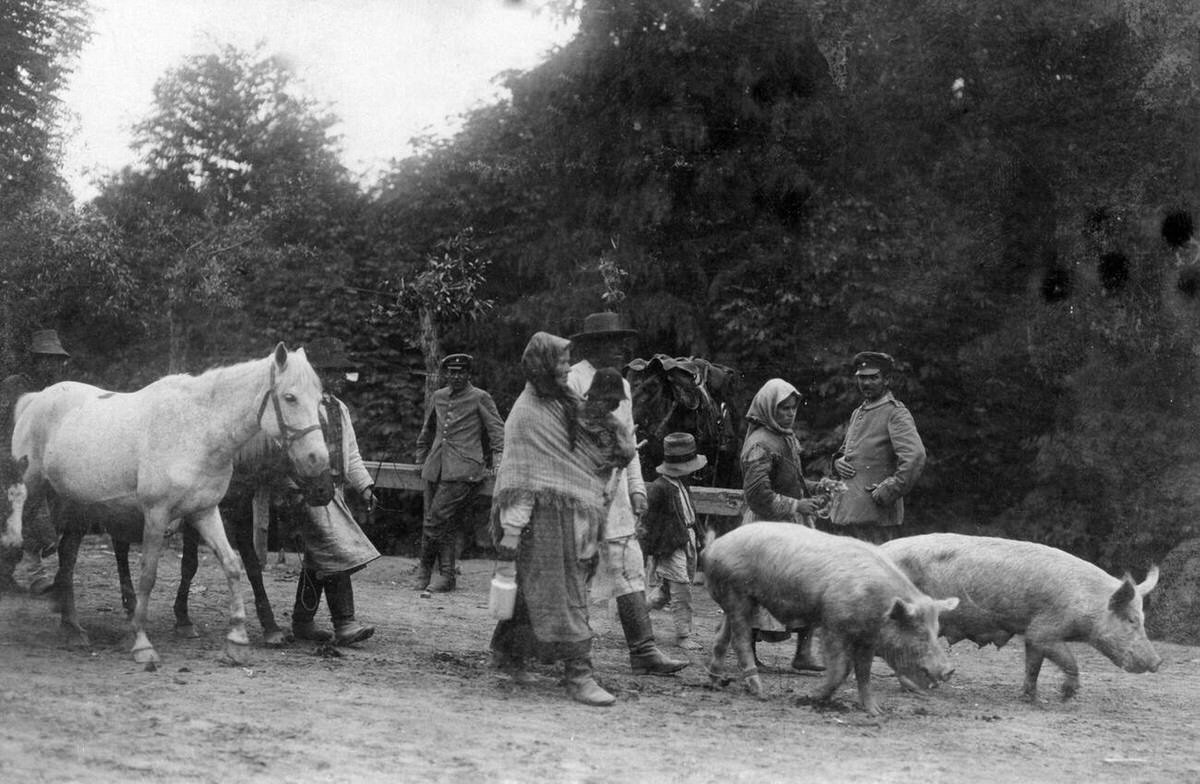 Ruthenian refugees returning to Galicia, 1915