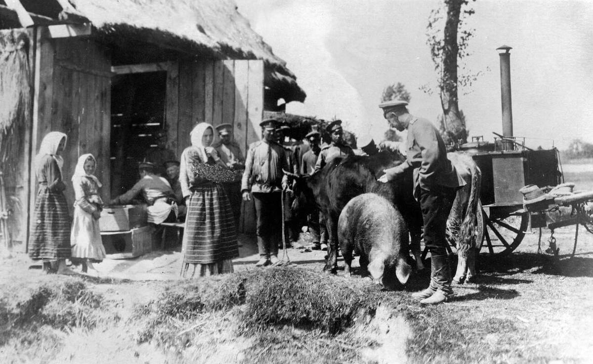Russian soldiers requisitioning livestock, 1915