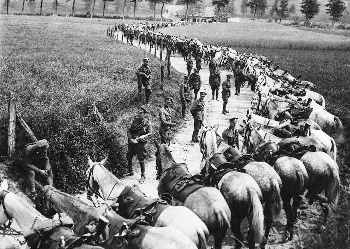 Members of the Royal Scots Greys cavalry regiment resting their horses in France, 1914