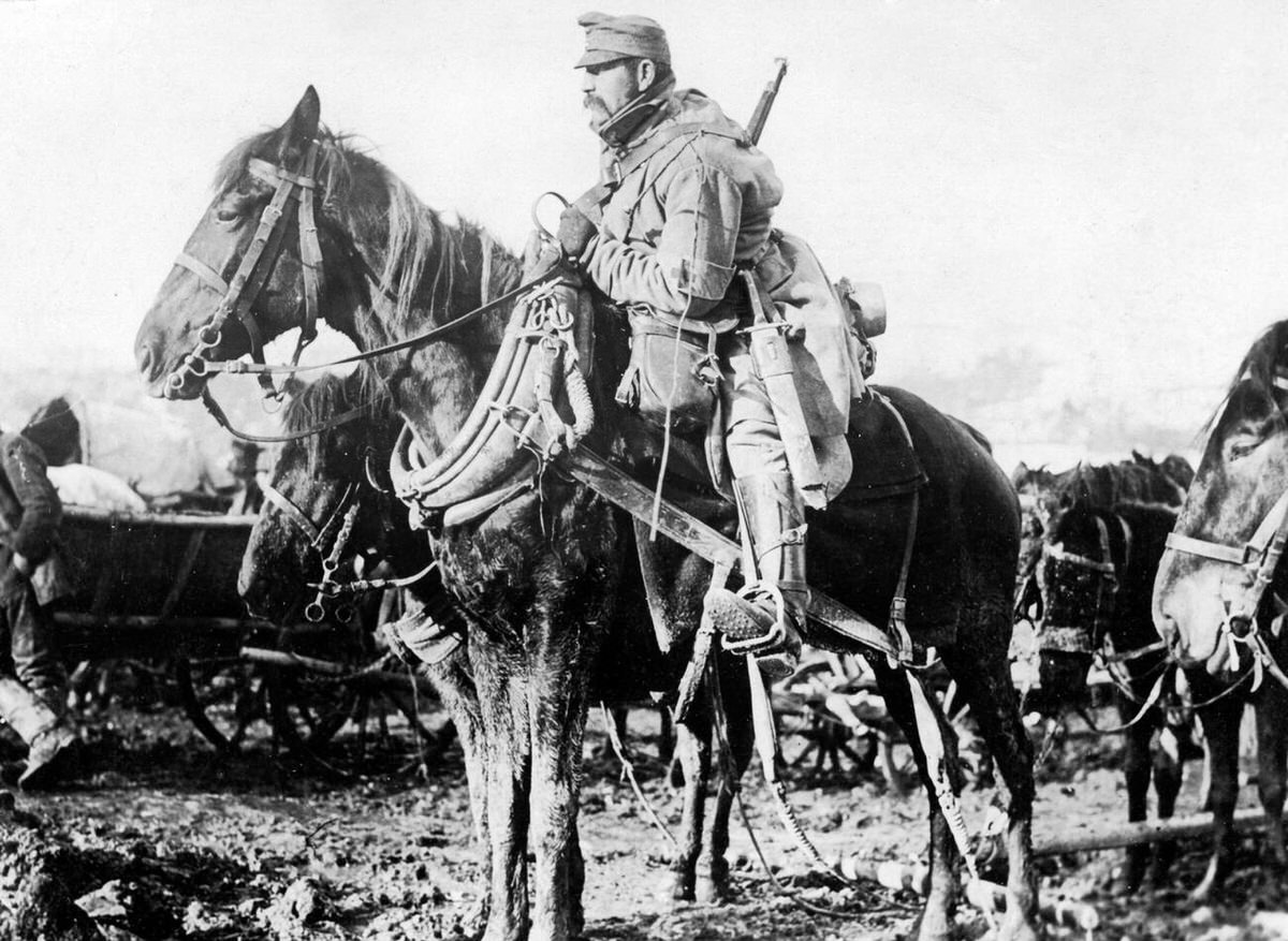 Austro-Hungarian soldier on horseback, 1915