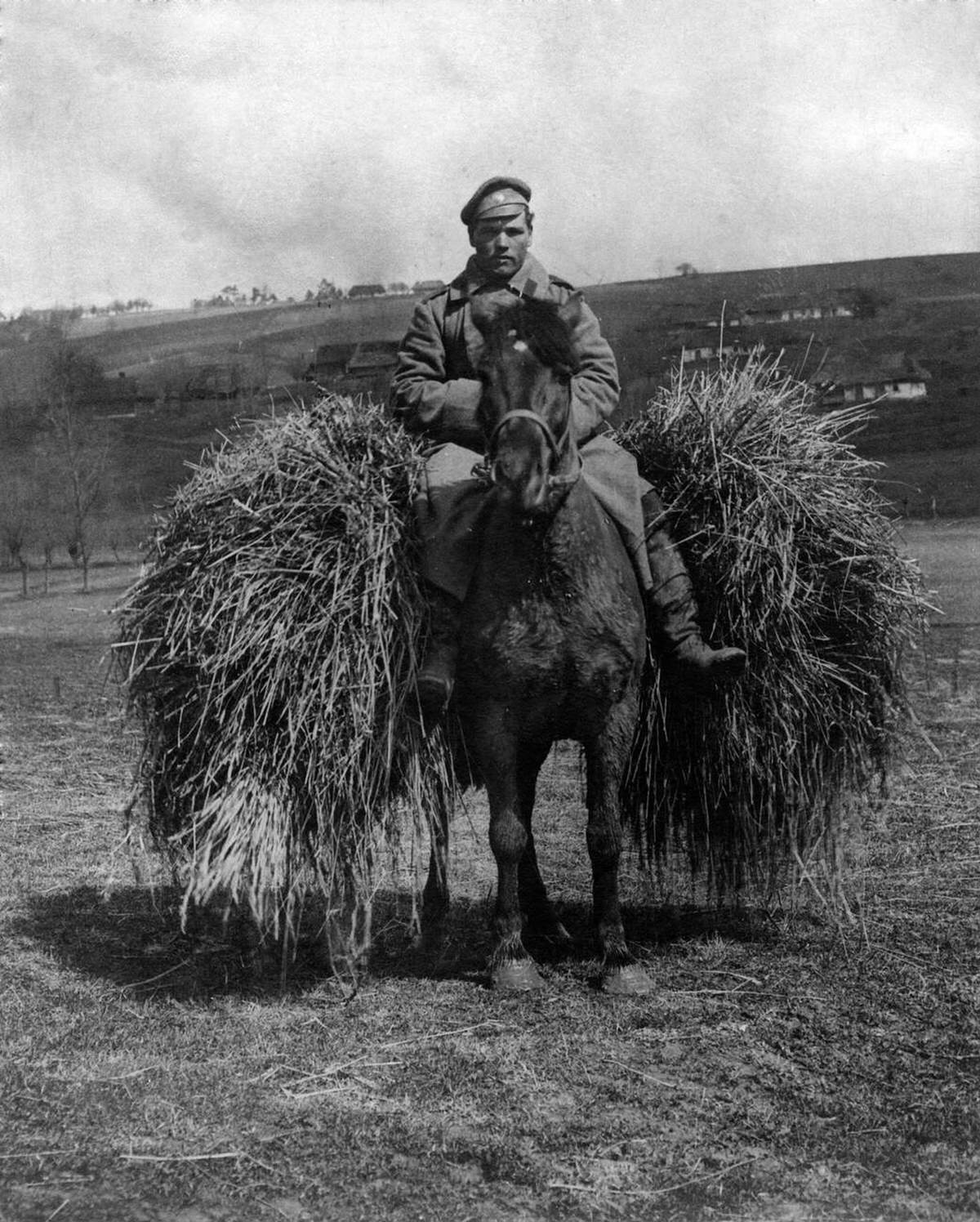 Russian picket on horseback, 1915