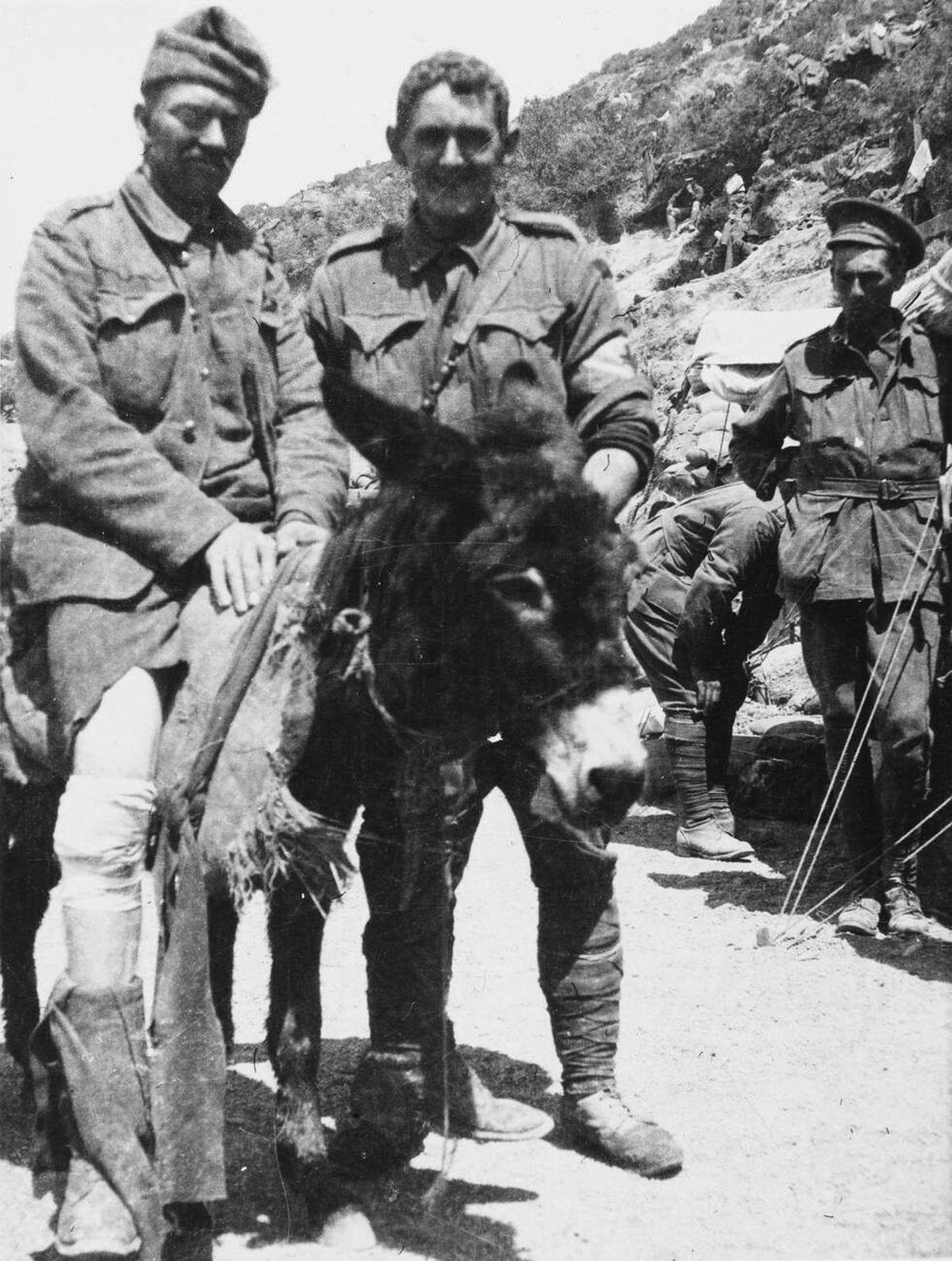John Simpson and his donkey, 1915