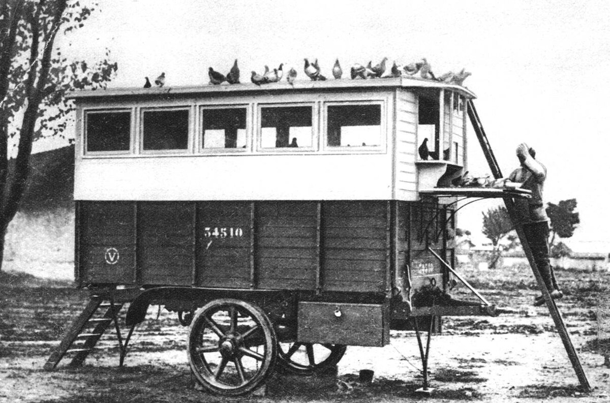 French mobile carrier pigeon station on the Western Front, 1917