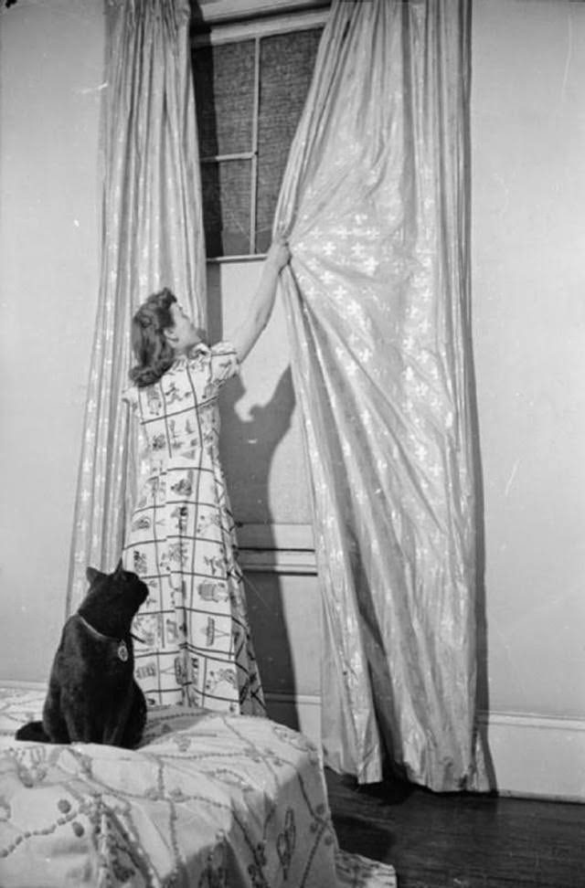 Mrs Day opens the curtains of her bedroom in the basement of her South Kensington home. Unfortunately, as the glass has recently been knocked out of the windows by a nearby air raid, Mrs Day cannot see outside, as oiled linen has been stretched across the windw frame in place of the missing glass. Her cat ‘Little One’ watches her from the bed.