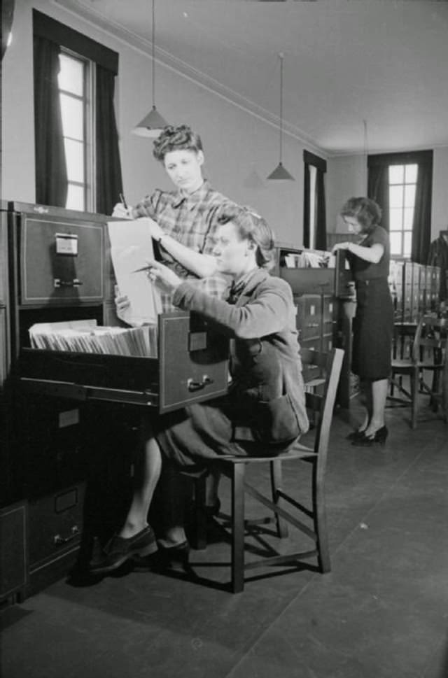 Mrs Day and colleagues work at one of many filing cabinets in the office. According to the original Ministry of Information caption, Mrs Day works as a ‘girl clerk in a war-time organisation’ and that filing takes up most of her time. The caption goes on to say that she works Monday to Friday between 10am and 6pm, but that as this photograph was taken on a Saturday, she would be finished by 2pm. It also states that ‘if there is a rush of work, she will work Sunday as well’.