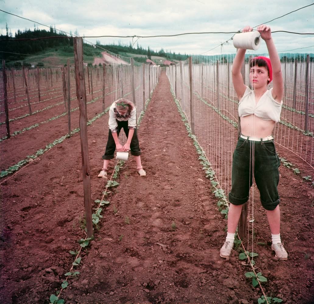 Vintage Photos of West Coast Youth in the 1950s Capture a Generation Full of Energy and Freedom