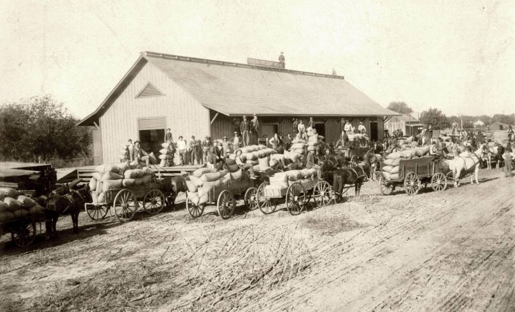Walnut shipping at Rivera Freight House, 1925