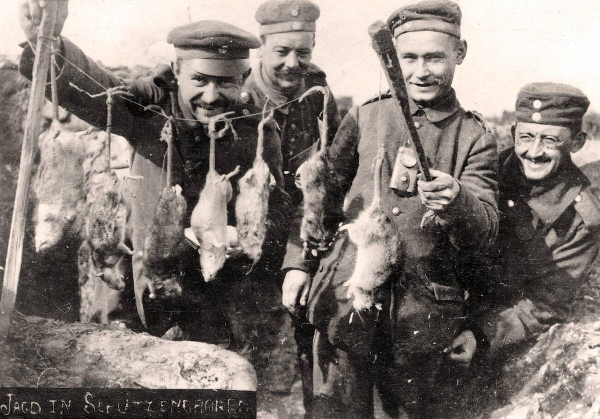 German soldiers showing rats caught in the trenches, 1914