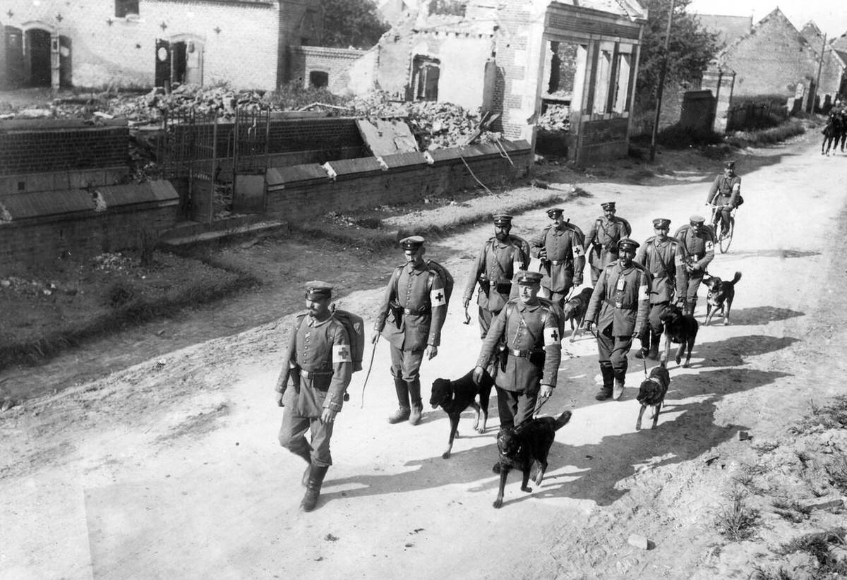 Medical orderlies with their dogs, 1915