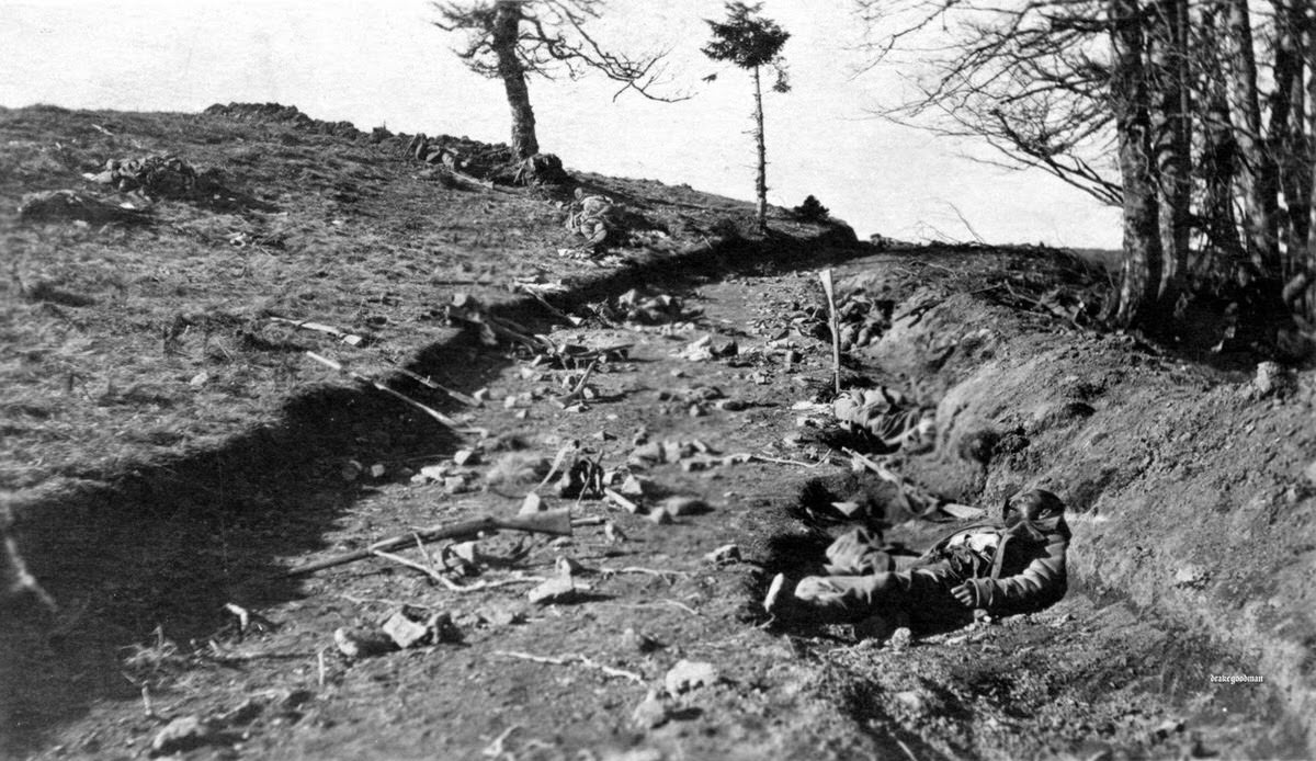 Bodies of fallen soldiers and Mosin-Nagant rifles on an Eastern Front battlefield, 1914