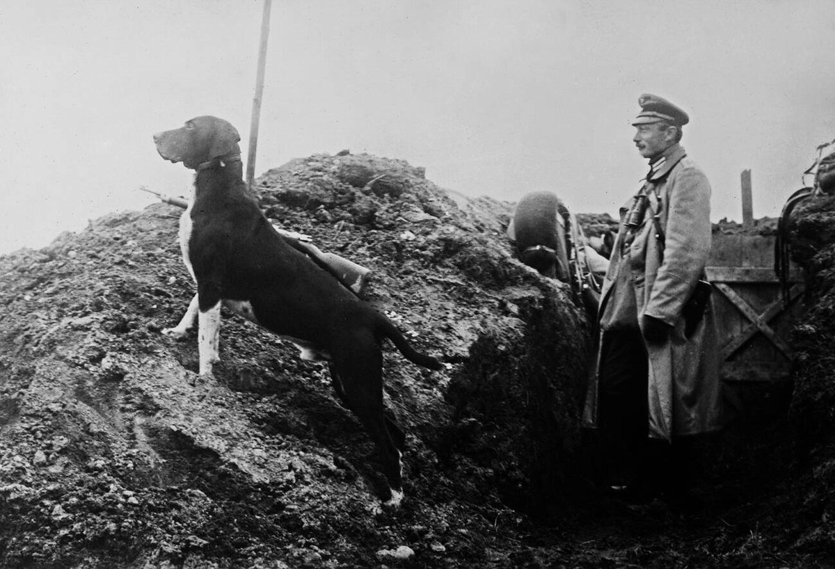 German officer with his dog, 1910