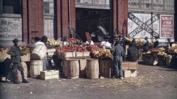 Early Color Photography Life