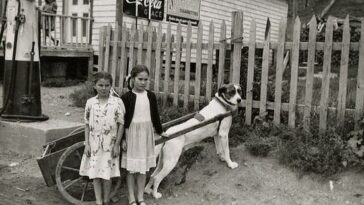 Girls with their dogs