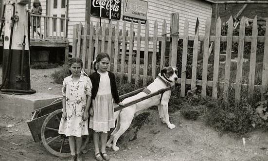 Girls with their dogs