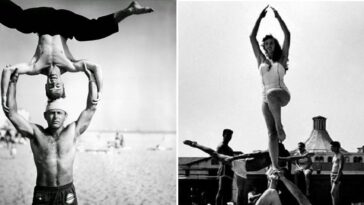 Muscle Beach 1954