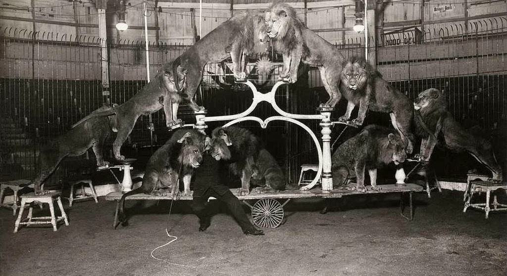 Netherlands Circus Early 1900s