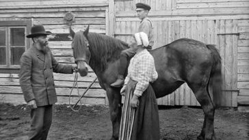 Sweden 1930s Portraits