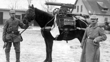 WWI Animals