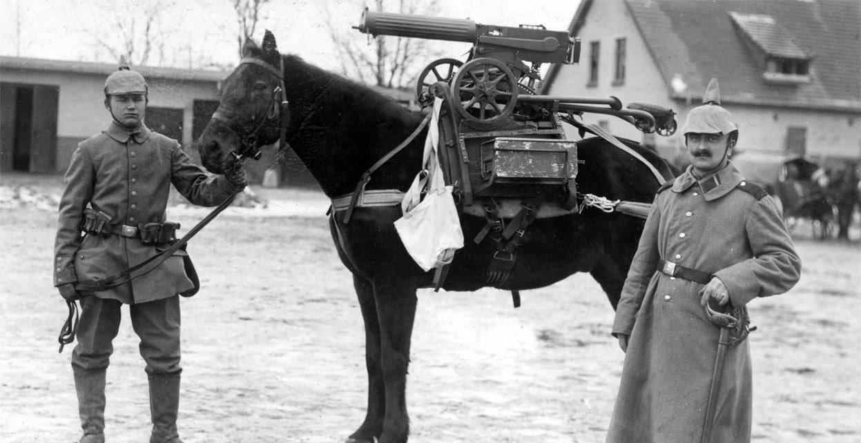 WWI Animals