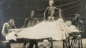 Skeletons and Dead Bodies Vintage Photos