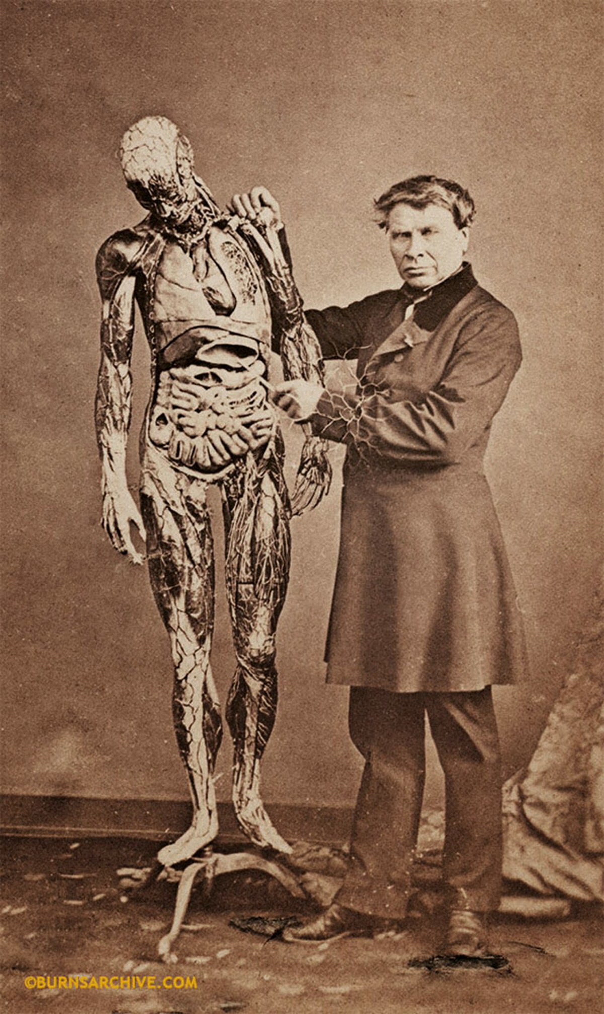 Anatomical Model Maker, Dr. Azouz 1858.