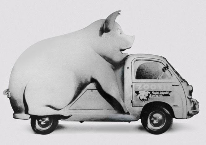 Zoovit animal feed vehicle