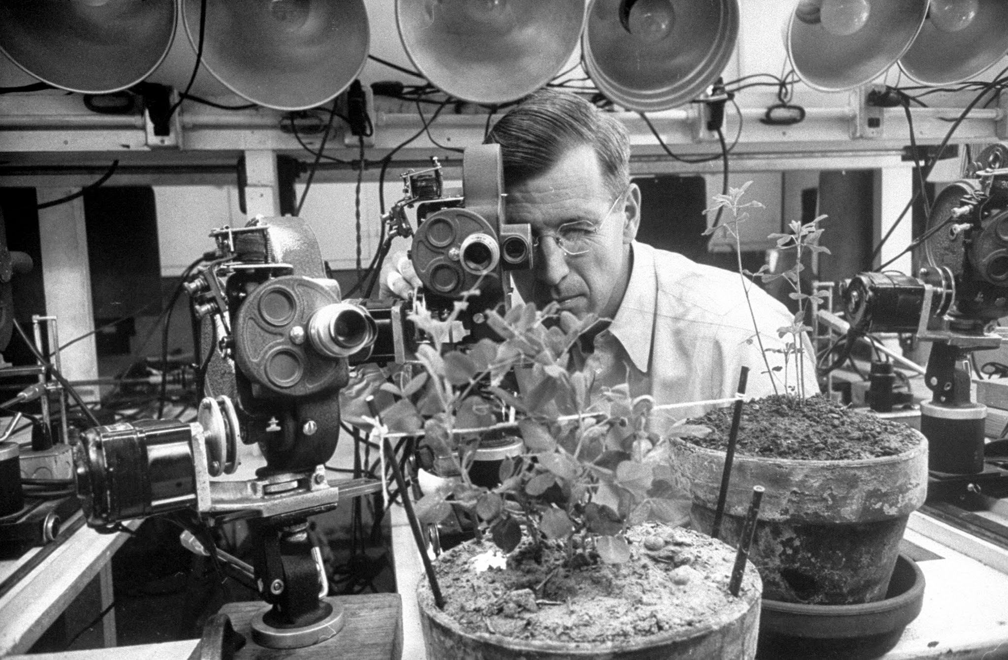 Behind the scenes at Disney studios, 1953