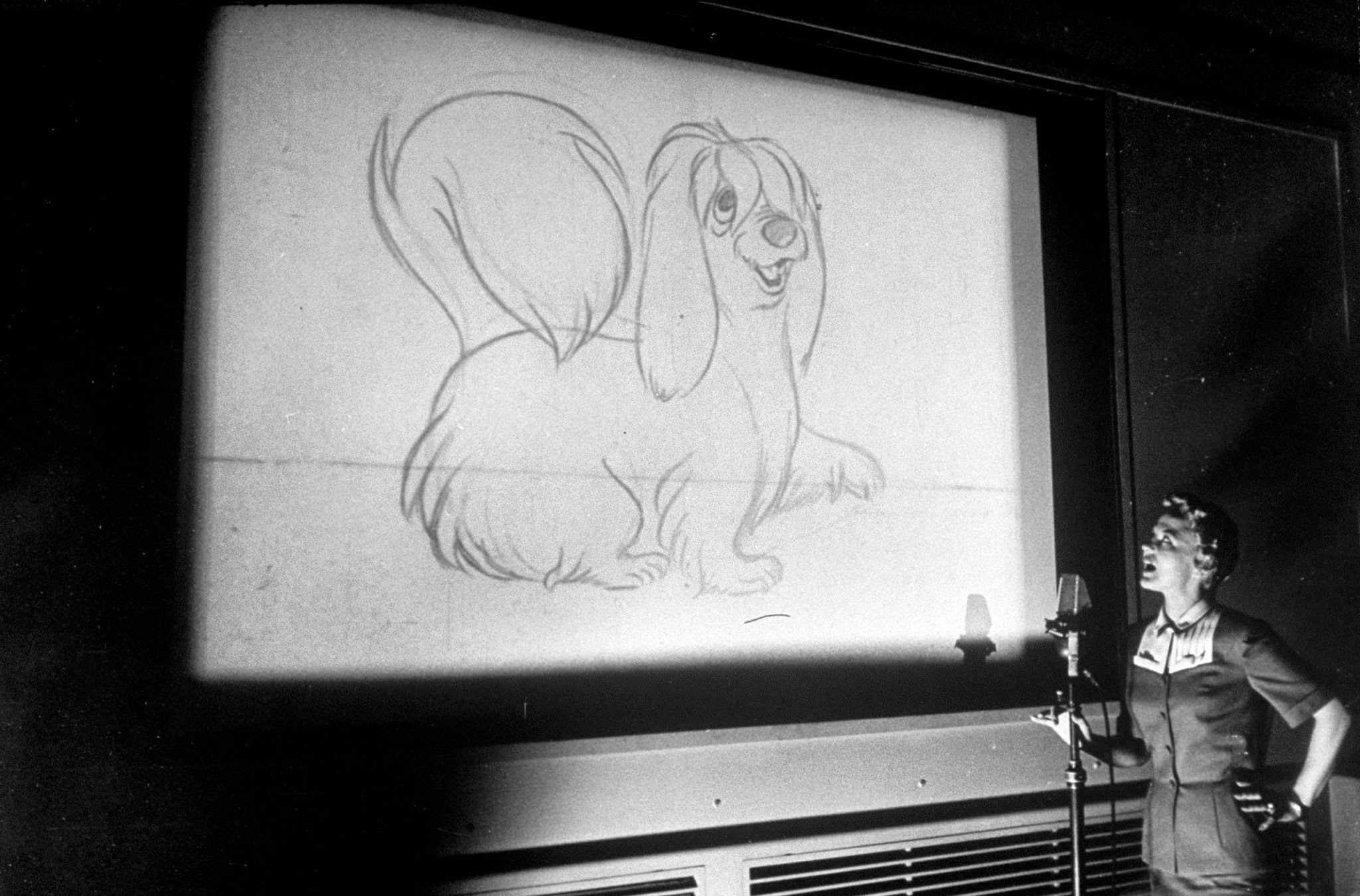 Voicing a character for the feature cartoon, The Lady and the Tramp, 1950s