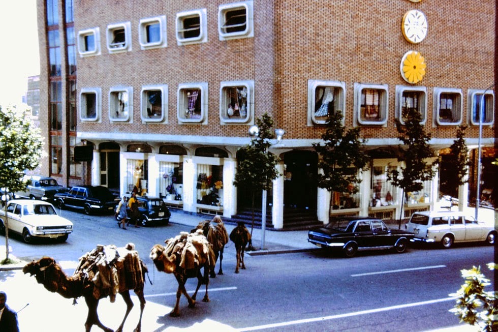 A caravan of camels delivering goods straight from the village craftspeople or farmers to the shops in Tehran.